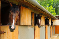 free Myndd Llandegai stable construction quotes